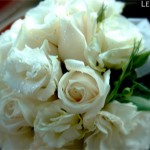 engagement-bouquet-cream-rose-posy-01